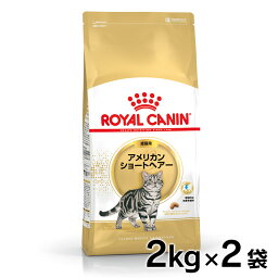 【最大350円クーポン！ワンにゃんデイ】【2個セット】 ロイヤルカナン アメリカンショートヘアー 成猫用 2kg 正規品 猫用 キャットフード ドライ カリカリ アダルト 12ヵ月齢以上 12歳まで プレミアムフード ロイカナ ROYALCANIN [3182550861700]【rccf33】