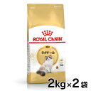 y2ZbgzCJi Oh[ Lp 2kg Ki Lp Lbgt[h hC JJ A_g L 12ȏ 12΂܂ v~At[h CJi ROYALCANIN [3182550825351]yrccf41z