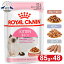 ֡48ĥåȡۥ륫ʥ å ȥ å 85g ǭ ǭ ǭ 12ޤ åȥա åȥա ѥ ץߥ ǭѥա ROYAL CANIN FHN-WET [9003579308943]rccf17ۡrccf18ۡrccf19ۡפ򸫤