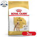 【最安値に挑戦！】【単品 セット】 ロイヤルカナン プードル 成犬用 3kg 正規品 ドッグフード ドライ 成犬 アダルト 10ヶ月齢以上 8歳まで 小型犬 BHN 犬種別 プレミアムフード ロイカナ ROYALCANIN 3182550765206 【rcdb13】