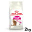 륫ʥ å С  2kg  ǭ åȥա ɥ饤 ꥫ  ǭ 12ʾ 7Фޤ ˤ ץߥա  ROYALCANIN [3182550717137]rccf12