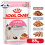 륫ʥ å ȥ å 85g ǭ ǭ ǭ 12ޤ åȥա åȥա ѥ ץߥ ǭѥա ROYAL CANIN FHN-WET [9003579308943]rccf17ۡrccf18ۡrccf19