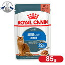 ロイヤルカナン キャット ライトウェイトケア ウェット 85g 肥満傾向の猫用 理想的なカロリーケア 体重管理が難しい猫用 キャットフード ウェットフード ダイエット ライト パウチ プレミアム ROYAL CANIN FHN-WET 