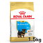 ֥륫ʥ 衼㡼ƥꥢ Ҹ 1.5kg  ɥåա ɥ饤 Ҹ Ƹ  ĸ 10ޤ 衼ƥꥢ 衼 Ķ BHN  ץߥա  ROYALCANIN D[3182550743471]rcdb23ۡפ򸫤