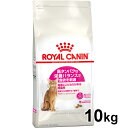 CJi Lbg veCGNVWFg 10kg Ki Lp Lbgt[h hC JJ A_g L 12ȏ 7΂܂ ^pN Hɂ v~At[h CJi ROYALCANIN yDz[3182550767231]yrccf45z