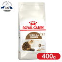 CJi Lbg GCWO 12+ 400g Ki Lp Lbgt[h hC JJ VjA  V VL 12Έȏ v~At[h CJi ROYALCANIN [3182550786201]yrccf09z