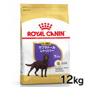 CJi uh[go[ XeACYh `p 12kg Ki hbOt[h hC A_g VjA V 15ȏ D  ̏dǗ ^ BHN  v~At[h CJi ROYALCANIN yDz[3182550787581]yrcdb25z