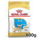 CJi ` qp 800g Ki hbOt[h hC ps[ e  c 8܂ ^ BHN  v~At[h CJi ROYALCANIN yDz[3182550788120]yrcdb11z