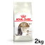 ֥륫ʥ å  ƥ饤 12+ 2kg  ǭ åȥա ɥ饤 ꥫ ˥  Ϸ Ϸǭ 12аʾ ǥ  νŴ 䤹 ץߥա  ROYALCANIN [3182550805384]rccf10ۡפ򸫤