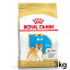 ֥륫ʥ Ƹ Ҹ 3kg  ɥåա ɥ饤 Ҹ Ƹ  ĸ 10ޤ BHN  ץߥա  ROYALCANIN D[3182550823944]rcdb29ۡפ򸫤