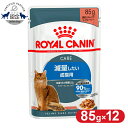 【12個セット】ロイヤルカナン キャット ライトウェイトケア ウェット 85g まとめ買い 肥満傾向の猫用 カロリーケア 体重管理が難しい猫用 キャットフード ウェットフード ダイエット ライト パウチ プレミアム ROYAL CANIN FHN-WET 9003579308769 【rccf46】