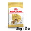 ロイヤルカナン キャバリア キングチャールズ 成犬〜高齢犬用 3kg×2個セット送料無料 正規品 犬 ドッグ BHN フード ドライ ごはん アダルト シニア 老犬 老齢 まとめ買 Pet館 ペット館 【D】【3182550777698】 rcdb01 9,040円