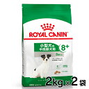 y2ZbgzCJi ~j A_g 8+ 2kg Ki p hbOt[h hC VjA  ^ 8Έȏ 12΂܂ SHN TCY v~At[h CJi ROYALCANIN [3182550402248]yrcdb48z