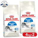 CJi Lbg ChA 4kg Ki Lp Lbgt[h hC JJ A_g  L 12ȏ 7΂܂ v~At[h CJi ROYALCANIN [3182550706933]yrccf06z