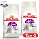 y2ZbgzCJi Lbg ZVu 15kg Ki Lp Lbgt[h hC JJ A_g L 12ȏ 7΂܂ v~At[h CJi ROYALCANIN [3182550702362]yrccf13z