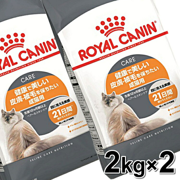 CJi L FCN wA[&XL PA 2kg~2Zbg ᐳKi NŔ畆 тۂLp A g щ Lbgt[h hC v~A ROYAL CANIN yV [3182550721738] D  rccf28