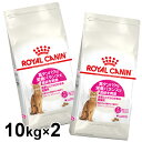 CJi Lbg veCGNVWFg 10kg~2Zbg Ki Lp Lbgt[h hC JJ A_g L 12ȏ 7΂܂ ^pN Hɂ v~At[h CJi ROYALCANIN yDz[3182550767231]yrccf45z