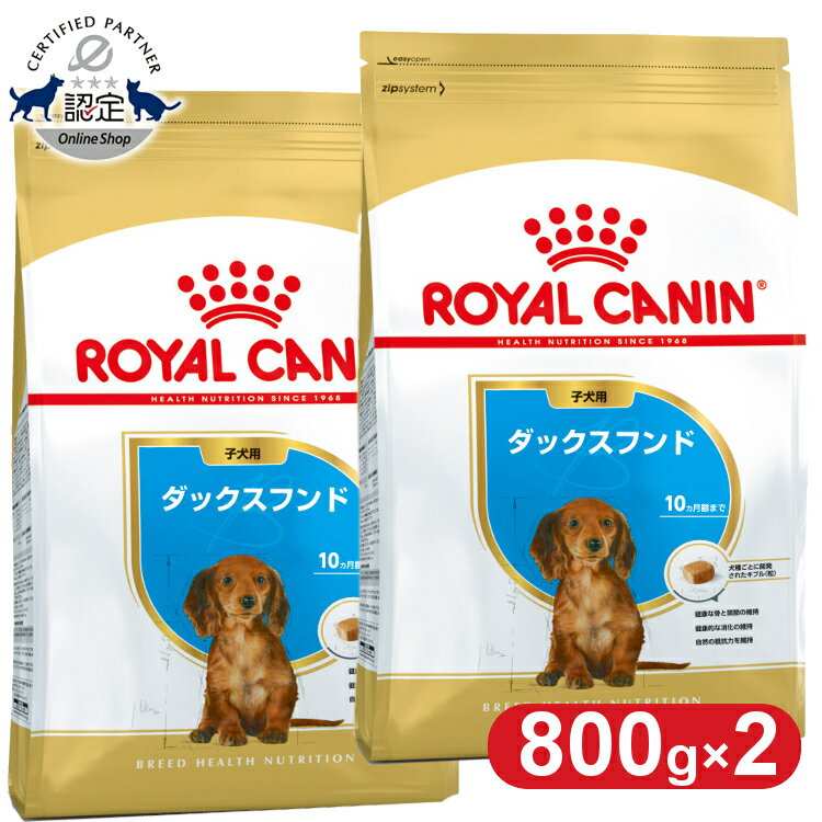 【2個セット】ロイヤルカナン ダックスフンド 子犬用 800g 正規品 ドッグフード パピー 仔犬 小犬 幼犬 10ヶ月齢まで 小型犬 BHN 犬種別 プレミアムフード ロイカナ ROYALCANIN [3182550788113] 【rcdb08】