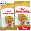 ֡2ĥåȡۥ륫ʥ åե 8+ 桦 3kg  ɥåա ɥ饤 Ϸ ˥ 8аʾ åե  BHN  ץߥա  ROYALCANIN [3182550824521]rcdb07ۡפ򸫤