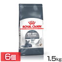 y6ZbgzCJi Lbg f^ PA 1.5kg Ki Lp Lbgt[h hC JJ A_g L 12ȏ  C I[PA v~At[h CJi ROYALCANIN [3182550953702]yrccf27z