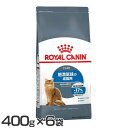 CJi L FCN CgEFCgPA 400g~6 Lbgt[h hCt[h v~At[h Lp L A_g 12ȏ  얞C 얞 J[PA lR ybgt[h ROYALCANIN 蒠Ȃ 蒠yDz