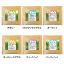 【最大400円クーポン!くらしにプラス】小動物 草 セレクションファーム 牧草栽培セット<リフィル> 草食小動物 牧草 栽培 生牧草 おやつ チモシー 草 うさ...