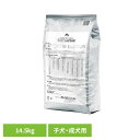 【全品5%OFFクーポン有★15日19:59迄】フィッシュ&ポテト 子犬・成犬用 14.5kg スーパーゴールド フィッシュ&ポテト 成犬 子犬 フード グルテ...