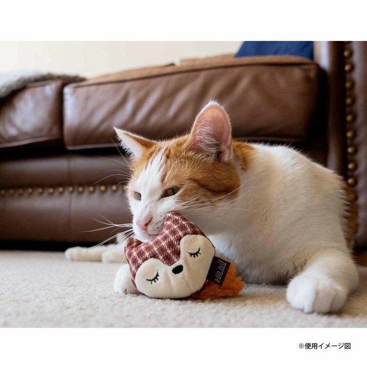 �ե����饤��ե�󥸡� �ե��å������Хˡ���2�ĥ��åȡ� ǭ�Ѥ������ ǭ�Ѥ̤������ ����åȥ˥å� ǭ���� ���򤤤������ �İ���������� ������˴�Ф��...