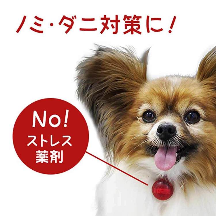 【最大400円クーポン！ワンにゃんデイ】フリーブロッカーペンダント　ネオ ペット 虫よけ 超音波 防虫 散歩 アウトドア 犬 猫 人間 小動物 ライトハウス