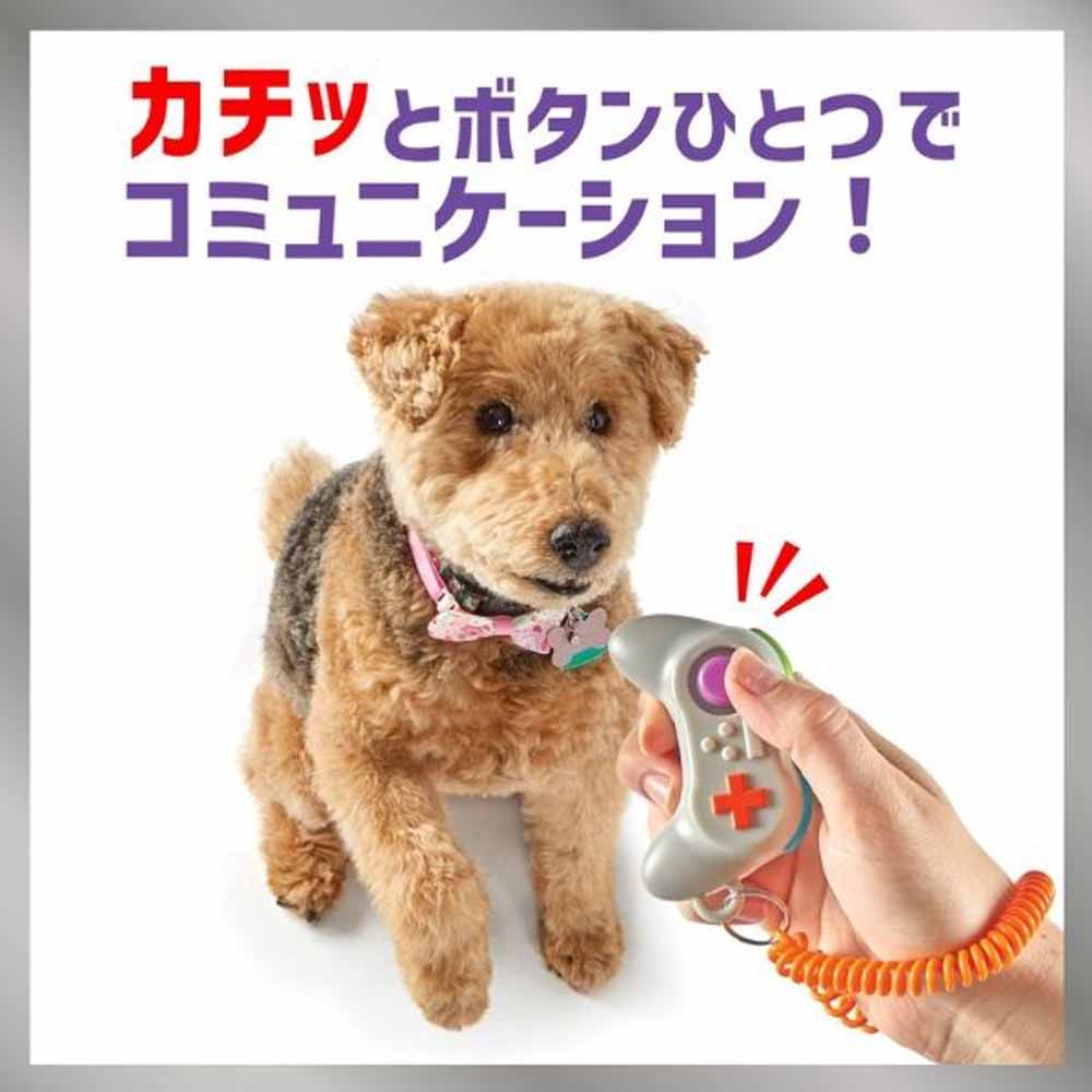 �֥饤�ȥ��󥺡�Brightkins�� �����äȤ��ۤ��ӥ���å��� �����ॳ��ȥ����顼 LER 9419�ڥå� �ڥå����� �� ���� ��ū ����å��� �ɥå��ȥ졼�˥� ���Ĥ��� �ȥ졼�˥� �Ῡ���ɻ�
