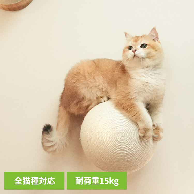 MYZOO CATURN N18 キャターン爪研ぎボール MZ0001キャットウォーク キャットステップ 猫用品 ペット用品 猫家具 爪研ぎ 壁掛け ペット共生 猫部屋 長彩株式会社 【B】