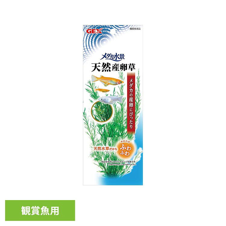 メダカ水景 天然産卵草 観賞魚 観賞魚用品 観賞魚用アクセサリー用品 GEX