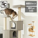 キャットタワー 猫ハウス 爪とぎ 据え置き 木製 MCCT‐145 大人猫 子ねこ 猫 猫タワー クッション付き キャットランド おしゃれ シンプル 運動不足 20kg 木製 省スペース 多頭飼い【AR対応】