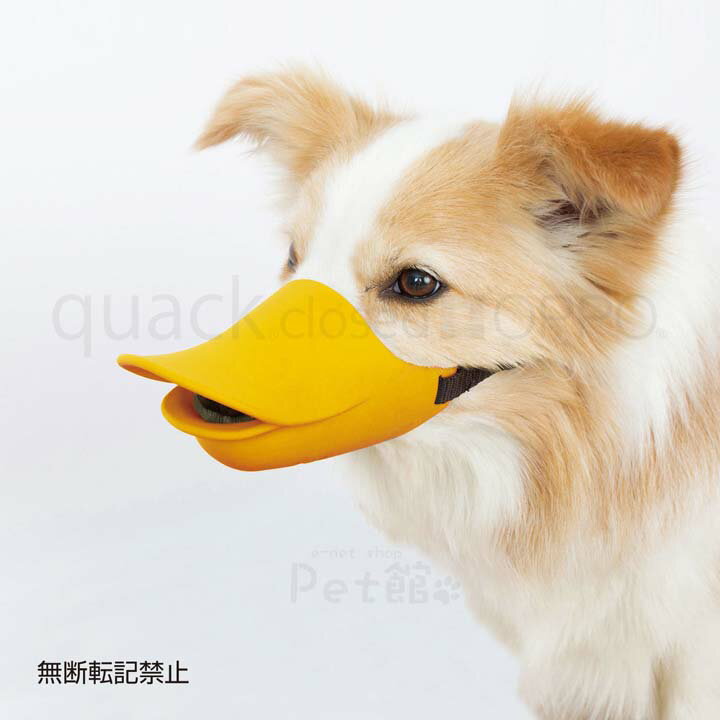 OPPO quack closed Lサイズ 口輪 OT-668-031-2 クァック クローズド くちばし型 犬のしつけ 無駄吠え 噛みつき シャンプー つめ切り シリコン Pet館 ペット館 ルビー・ブルー・オレンジ【B】【TC】