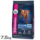 [Jko [W VjA 7.5kg  [Jko v~At[h hbOt[h ^ VjAp Eukanuba 7Έȏ `L  hCt[h yDz