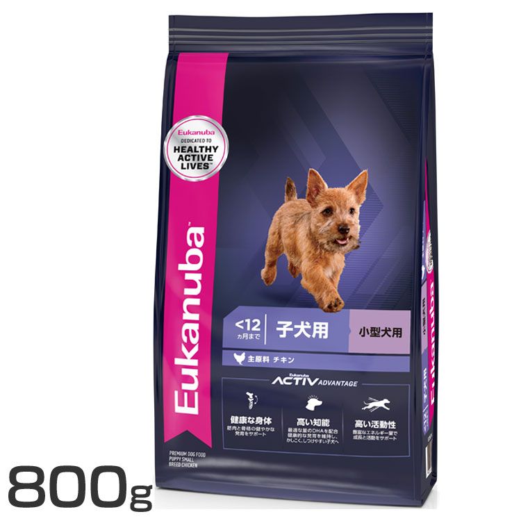 [Jko X[ ps[ 800g [Jko v~At[h hbOt[h E^ qp Eukanuba 12J܂ `L  hCt[h  D 