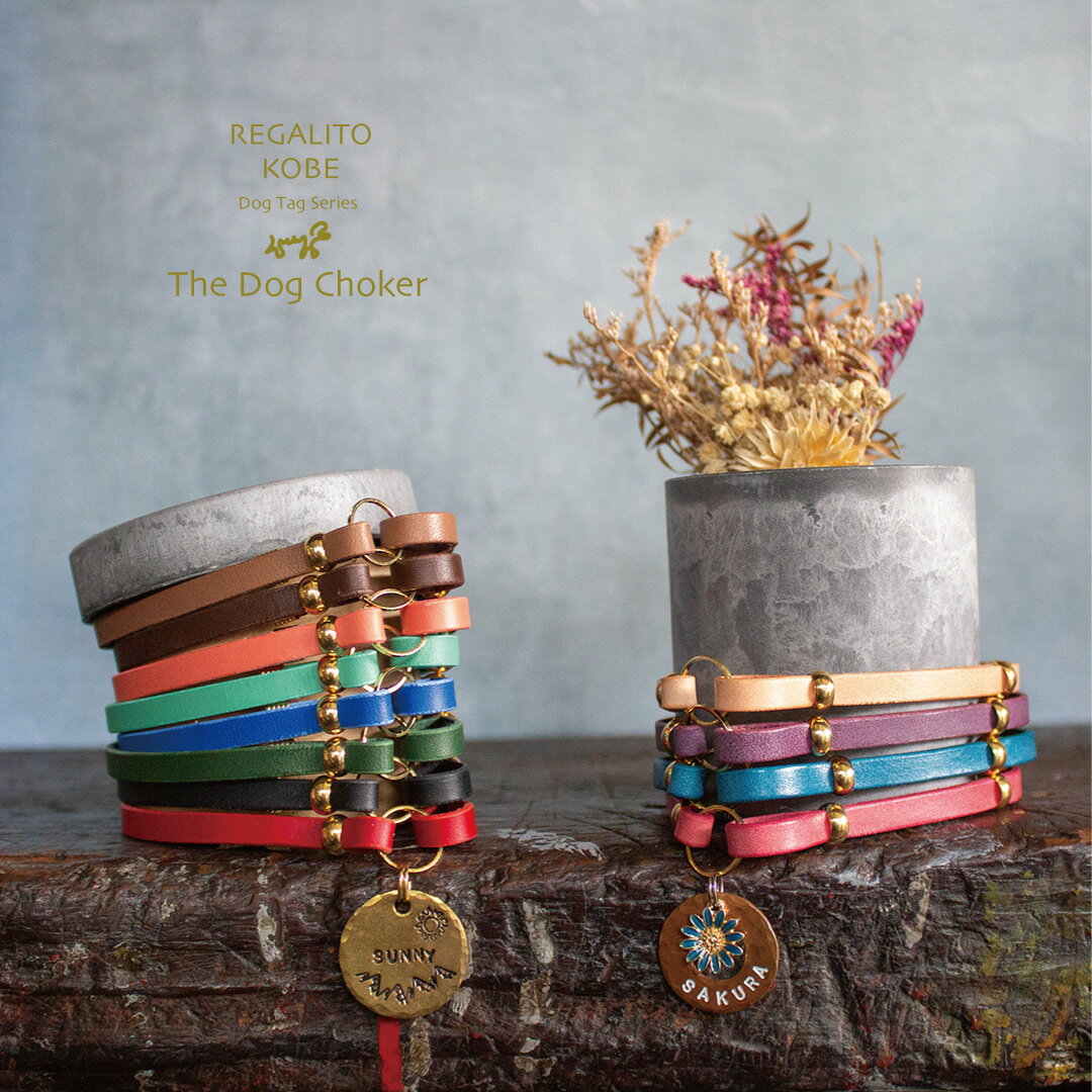 チョーカー 犬 猫 迷子札 名札 名前 