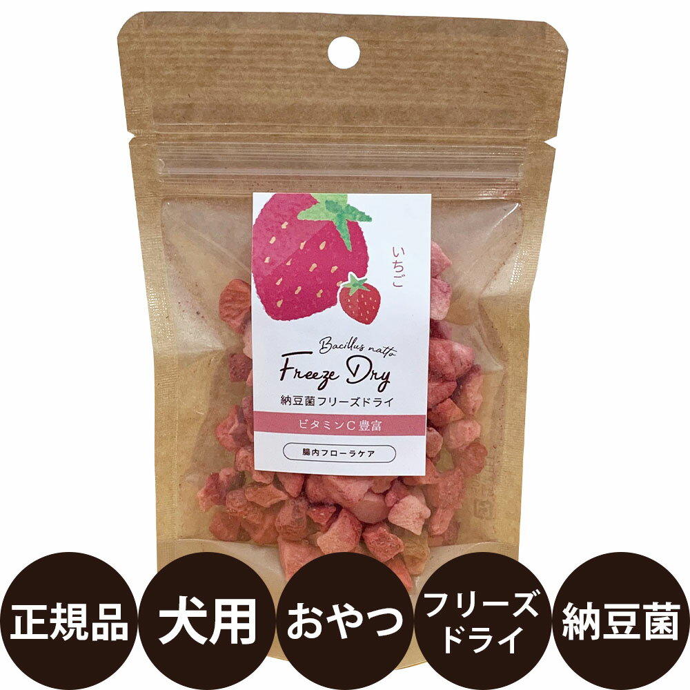 [ 正規品 ] 納豆菌フリーズドライ いちご 8g [ オフ