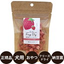 [ 正規品 ] 納豆菌フリーズドライ いちご 8g [ オフ