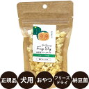 [ 正規品 ] 納豆菌フリーズドライ かぼちゃ 20g [ 