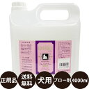 【抽選で最大100%ポイントバック!】 キンペックス ショーシーン 4L(4)