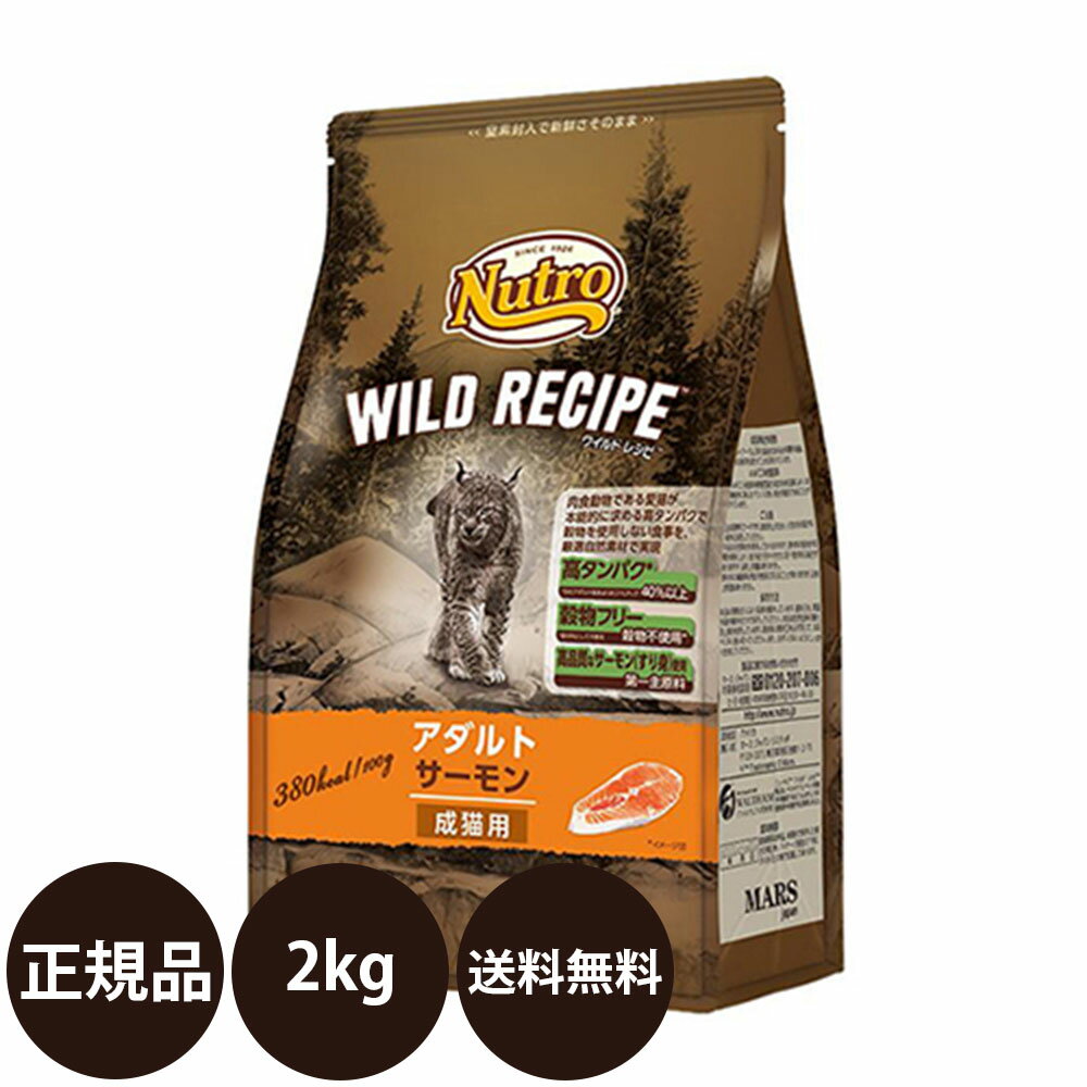 【本日！抽選で最大100%ポイントバック！】 【賞味期限:2024/12/3】[ 正規品 送料無料  ...