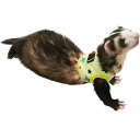 [ Ki  ] C{[ ferret n[lXEFA X^[ S M ( CG[ x[W ) [ tFbg n[lXEFA tFbgpn[lXEFA 2022 t n[lX  X^[ ]