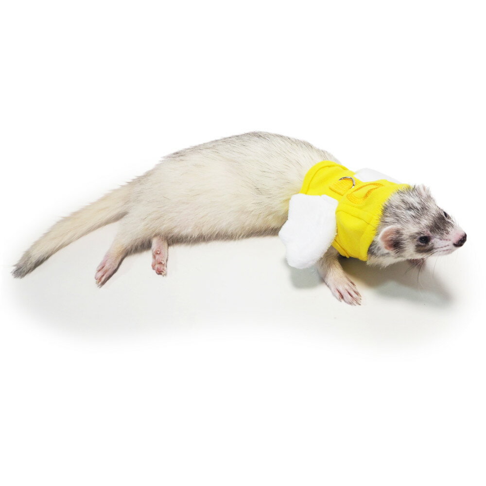 [ 正規品 送料無料 ] レインボー ferret ランランハーネスウェア 天使ちゃん ( S M ) [ フェレット ハーネス 服 ベスト 胴輪 2022 2023 エンジェル 羽根 散歩 ]