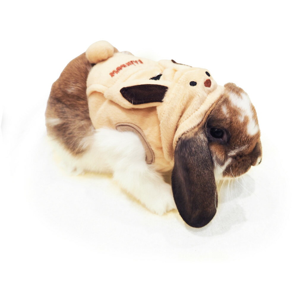 【終売】[ 正規品 送料無料 ] レインボー rabbit ランランハーネスウェア うさぎさん (  ...