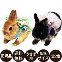 [ Ki  ] rabbit n[lXEGA `FbNhX S M ( CG[ x[W ) [  n[lXEGA  n[lXEFA `FbN ԕ ]