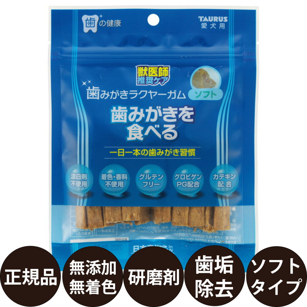 商品情報 商品名 トーラス 歯みがきラクヤーガム ソフト 商品説明 ”一日一本の歯みがき習慣”手で持って与える無添加・無着色の研磨剤配合ガムです。 せっかくのデンタルガムもポイッと渡すだけでは、好きな歯でしか噛まないため歯垢除去に偏りが出ます。 歯みがきラクヤーガムは、手で持ち左右の歯で満遍なく噛ませることにより隅々まで歯垢を除去、口臭を軽減します。 また、噛む行為によって唾液の分泌も促されるので口内環境の維持に効果的なほか、ガムが短いのでマズルを触るトレーニングにもなり歯みがきのステップアップにも繋がります。 特長 ・楽しみながらゆっくり噛むことにこだわった無味仕様。 ・歯周の環境を維持する特殊卵黄粉末グロビゲンPG配合。 ・歯垢除去にこだわり、歯に優しい研磨剤（炭酸Ca）を配合した特殊形状仕様。 ・お口のニオイに配慮し、吸着作用によってニオイを軽減するカテキン配合。 ・手で持って与える：満遍なく歯垢を除去でき、マズルを触るトレーニングにもなります。 ・研磨剤：天然由来で歯に優しく痛めにくい炭酸Ca配合。 ・特殊卵黄粉末：お口の健康を維持する特殊卵黄粉末グロビゲンPG配合。 ・無添加、無着色：無着色、無香料、漂白剤不使用の日本製。 ・グルテンフリー：食物のアレルギーや消化吸収に配慮したグルテンフリー。 ・特殊形状：凸凹のある形状は歯の表面にかかりやすく、繊維質構造なので隙間にも入りやすい。 与え方 食後や寝る前に手で持って左右の歯を交互に噛ませてあげてください。 永久歯に生え変わってから与えてください（生後5か月以上）。 こんな方におすすめです。 ・デンタルガムをお探しの方。 ・無添加・無着色のデンタルガムお探しの方。 関連商品 ・トーラス ・デンタルケア用品 容量 14本 原材料 牛皮、豚皮パウダー、タピオカ澱粉、米粉、炭酸カルシウム、ビタミンE、グリセリン、グロビゲンPG、カテキン、ルチン、ソルビン酸K 原産国 日本 発売元 トーラス株式会社 広告文責 美的感覚集団 美髪堂株式会社 豊富な品揃えペット用品店ぺネット