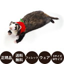  レインボー ferret ランランハーネスウェア りんご ( S M ) 