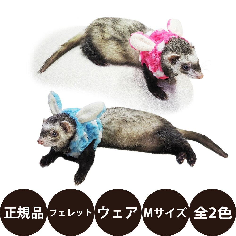 [ 正規品 ] レインボー ferret ランランハーネスウェア 水玉うさぎ ( S M ) [ フェレット ハーネスウェア 冬用 フェレット用ハーネスウェア おでかけ ハーネス うさぎ うさ耳 水玉 もこもこ ボア生地 ]