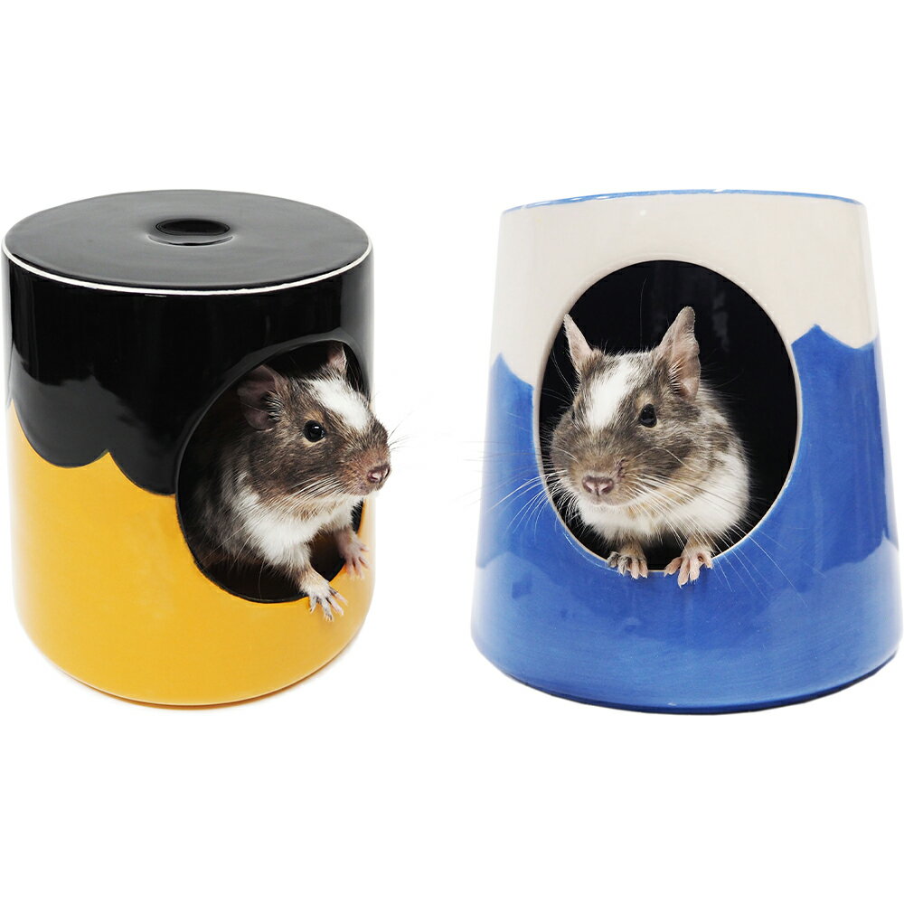 【抽選で最大100%ポイントバック！】 [ 正規品 送料無料 ] レインボー 砂浴びもできるデグーのおうち ..